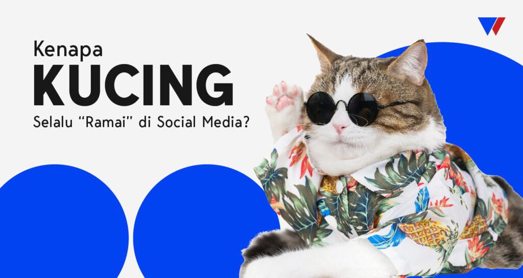 kenapa kucing selalu ramai di media sosial?