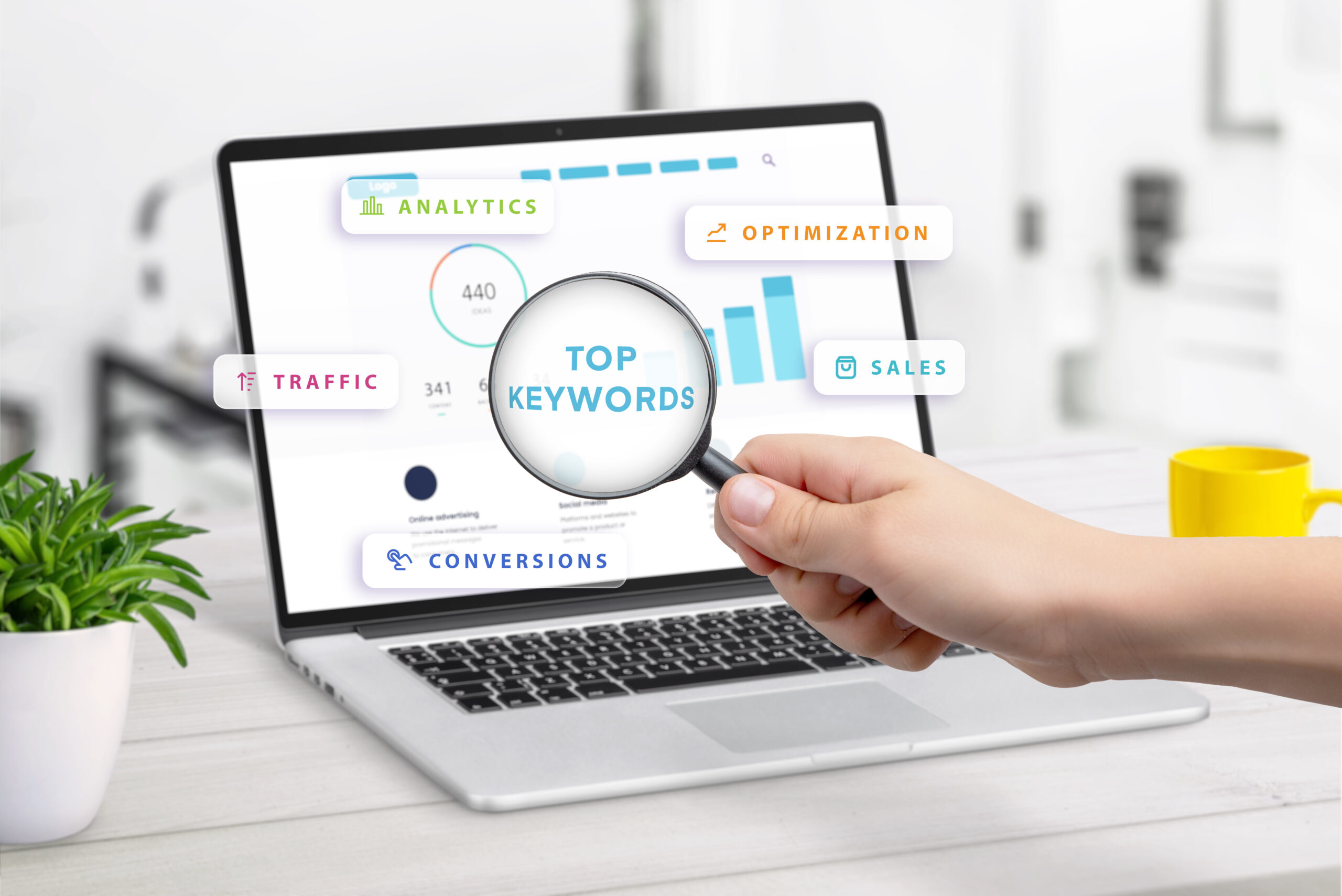 Panduan Cek Ranking Website untuk Praktisi SEO